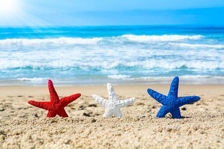 Red, White, & Blue Starfish in the Sand
