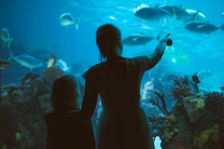 A mother and child at an aquarium
