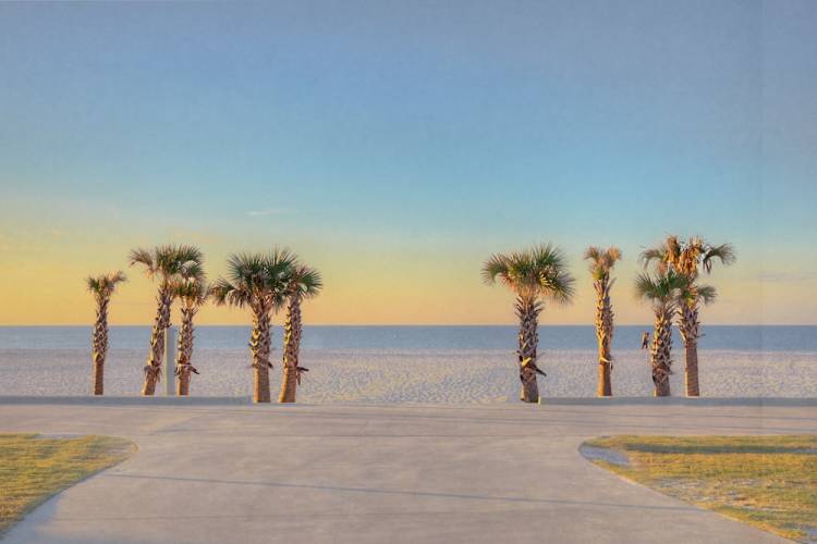 Palm trees and beach