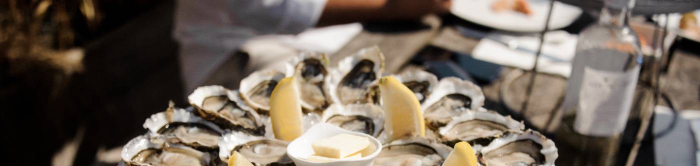 Raw oysters on ice